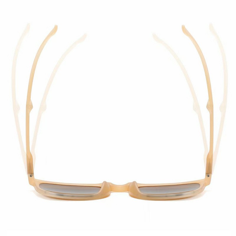 China Factory Dahcuan Optical DBKLW315 Customized Folding Shades Sunglasses with Case (5)