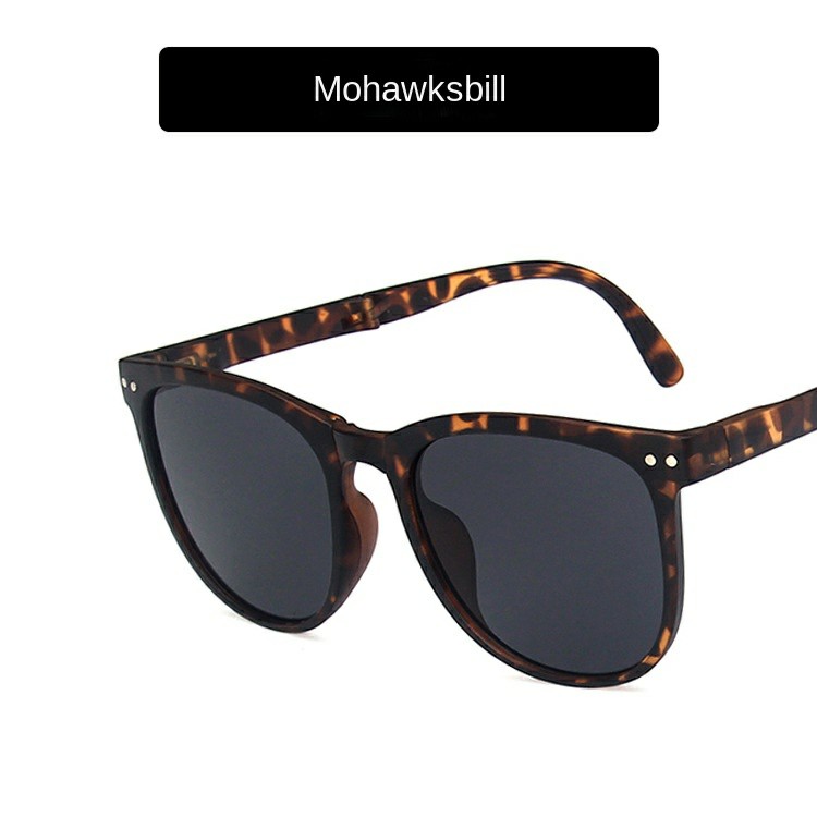 China Factory Dahcuan Optical DBKLW315 Customized Folding Shades Sunglasses with Case (6)