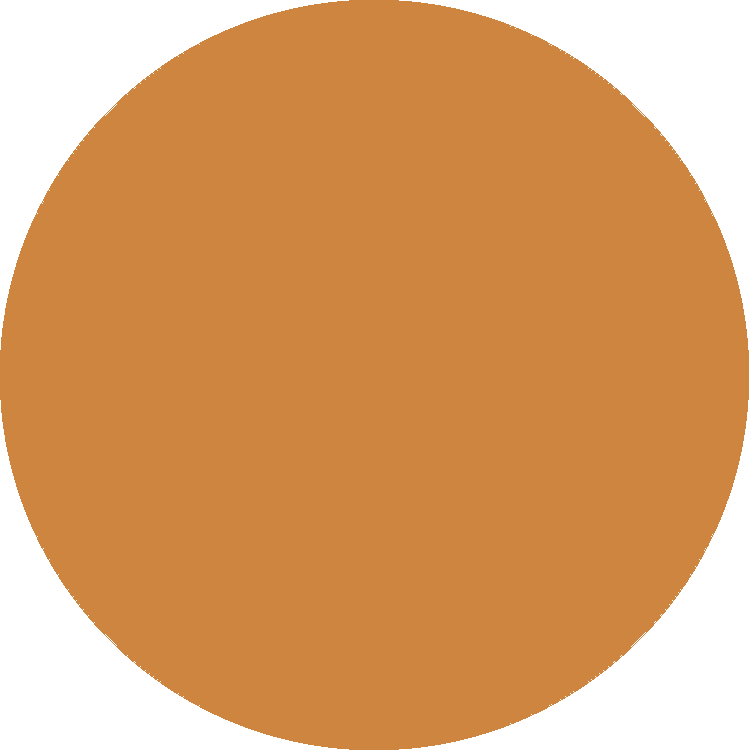 Color-Brown (4)