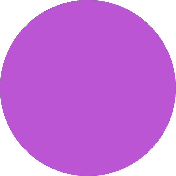 Color-Purple (6)