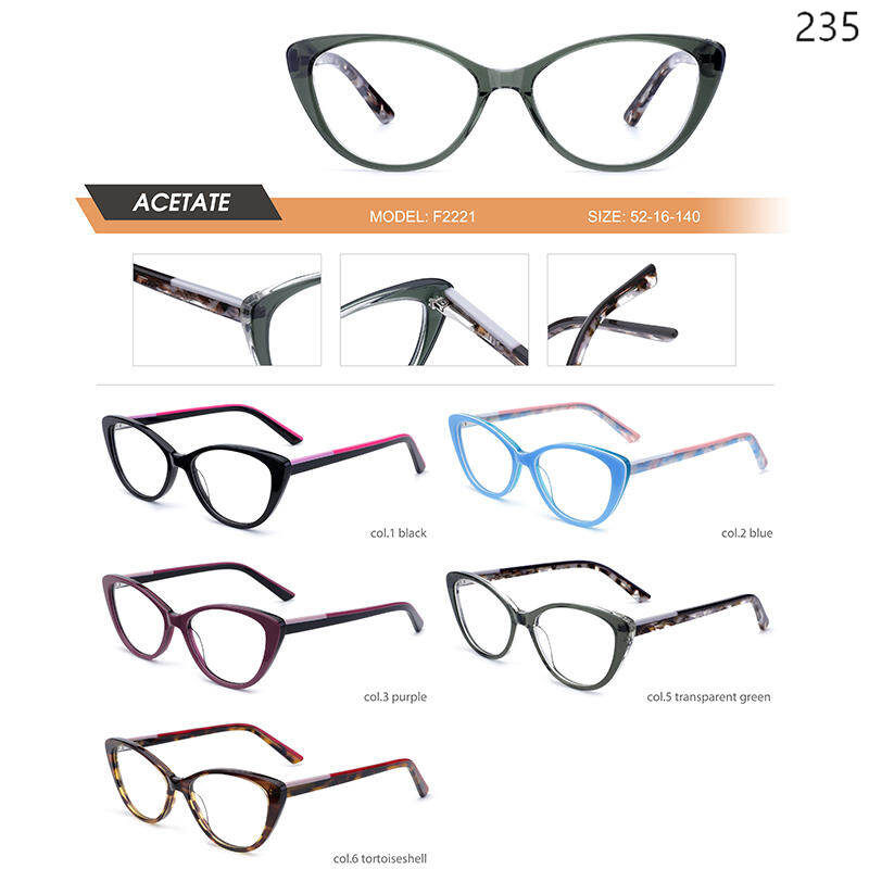 Dachuan Optical China Supplier Fashion Design Optical Glasses Series with Pattern Legs (10)