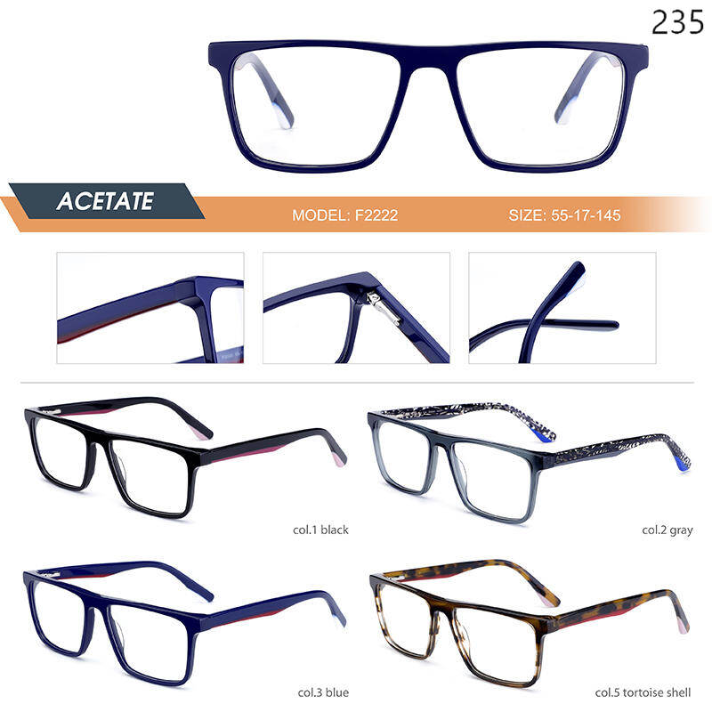 Dachuan Optical China Supplier Fashion Design Optical Glasses Series with Pattern Legs (11)