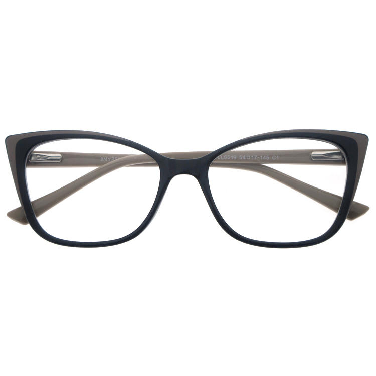 Dachuan Optical DOTR342005 China Supplier Fashionable Cat Eye Shape TR Optical Glasses with Metal Spring Hinge (4)