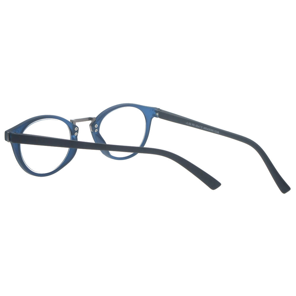 Dachuan Optical DRP102225 China Wholesale New Vintage Style Plastic Reading Glasses with Spring Hinge (14)