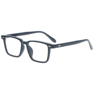 Dachuan Optical DRP102233 China Wholesale Trendy Leisure Style Plastic Reading Glasses with Metal Hinge
