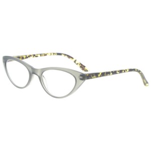 Dachuan Optical DRP102237 China Wholesale New Trends PC Reading Glasses with Cateye Shape Frame