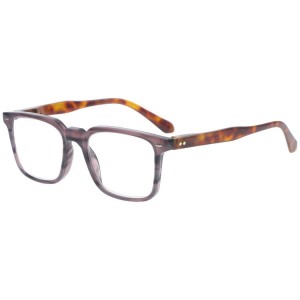 Dachuan Optical DRP131064 China Supplier Simple Design Reading Glasses With Double Color Frame