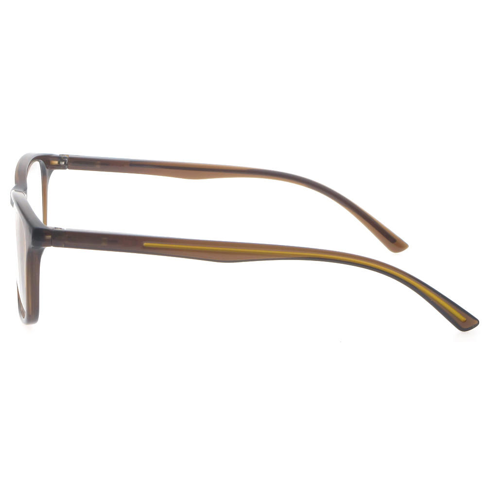 Dachuan Optical DRP131112 China Supplier New Retro Plastic Reading Glasses with Spring Hinge (12)