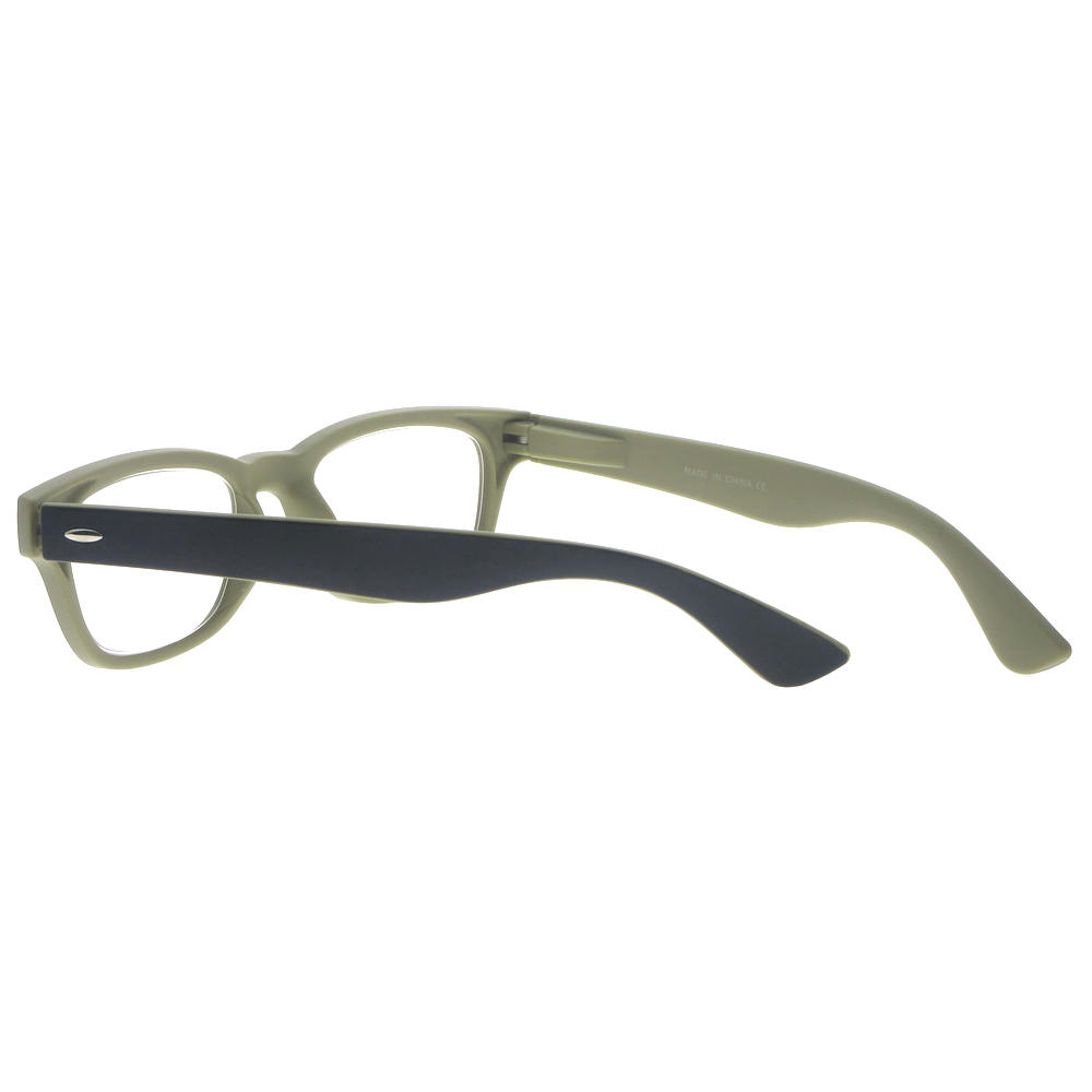 Dachuan Optical DRP131113 China Supplier Double Colors Plastic Reading Glasses with Spring Hinge (14)