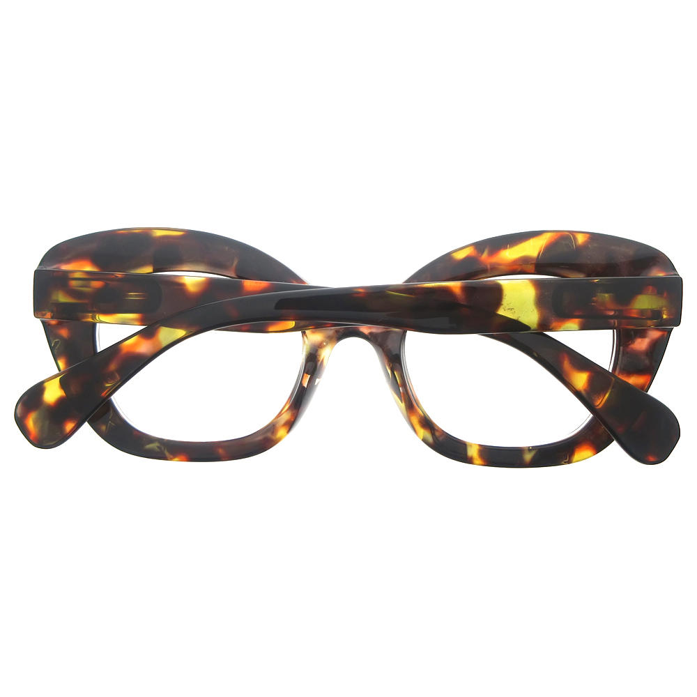 Dachuan Optical DRP131131 China Wholesale Vintage Oversized Plastic Reading Glasses with Spring Hinge (5)