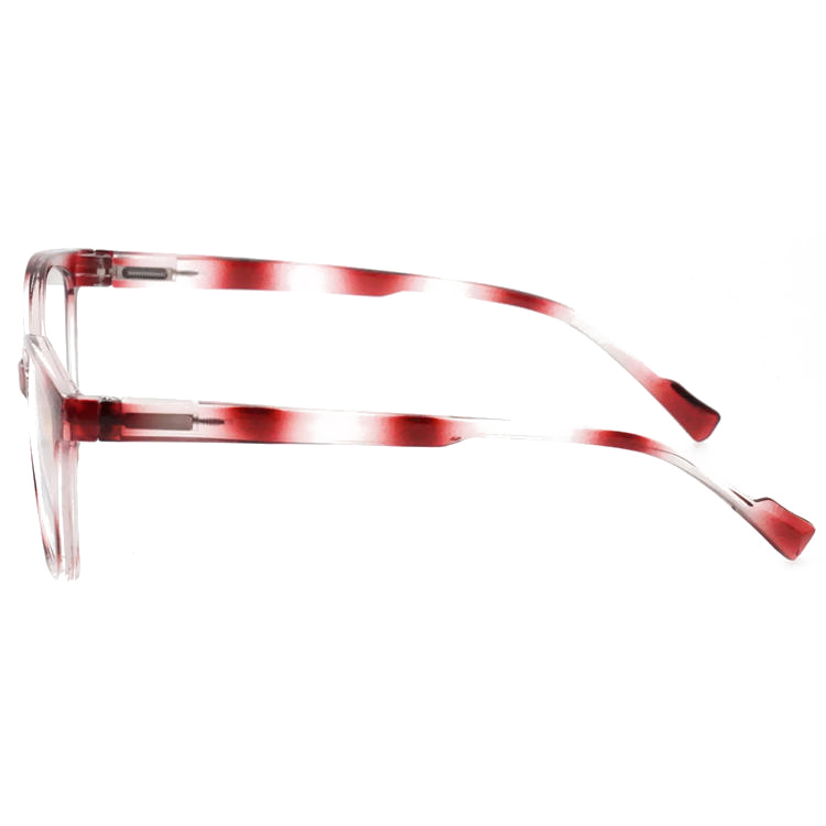 Dachuan Optical DRP251005 China Supplier Cat Eye Plastic Reading Glasses with Plastic Spring Hinge (14)