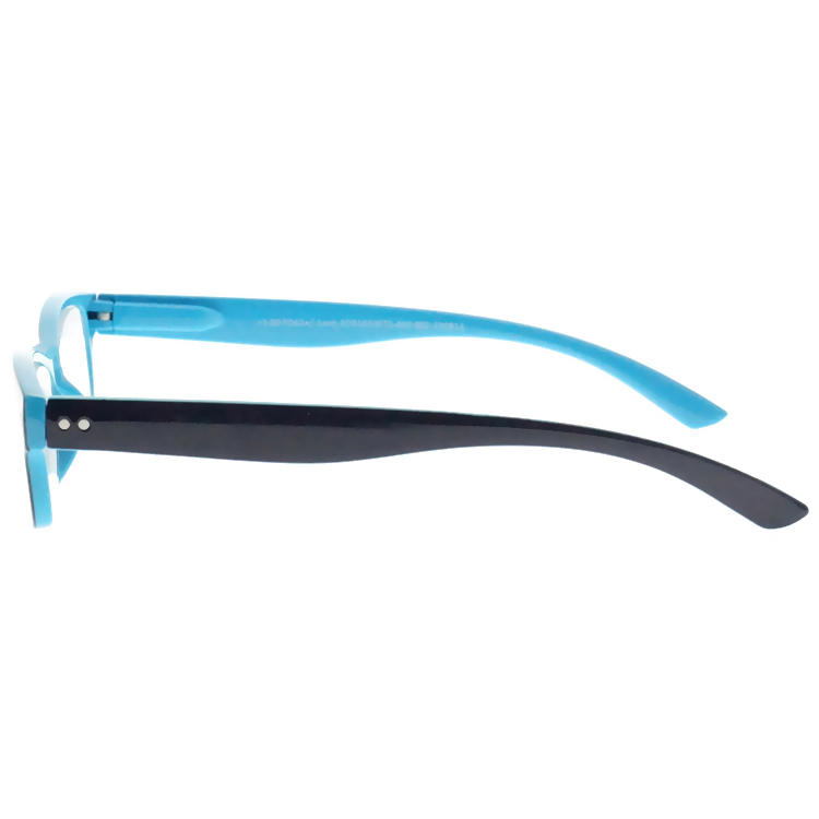 Dachuan Optical DRP343001 China Wholesale New Arrival Double Colors Reading Glasses with Small Shape Frame (15)