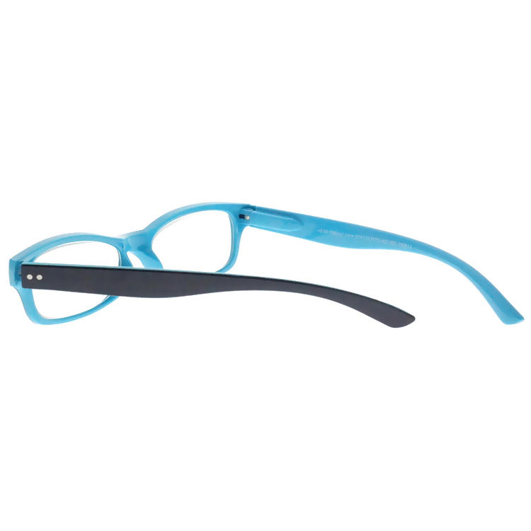 Dachuan Optical DRP343001 China Wholesale New Arrival Double Colors Reading Glasses with Small Shape Frame (16)