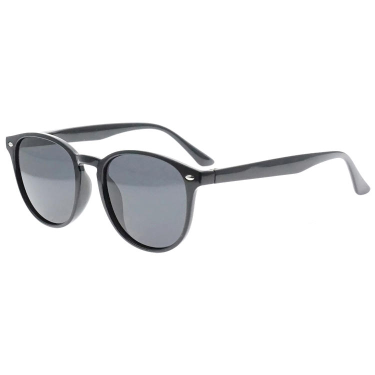 Dachuan Optical DSP102001 China Manufacture Factory Retro Styles Plastic Sunglasses with Plastic Spring Hinge (1 (5)