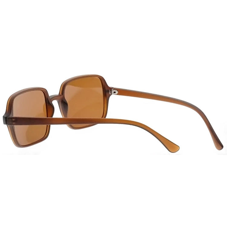 Dachuan Optical DSP102008 China Manufacture Trendy Oversized PC Sunglasses with Metal Hinge (7)