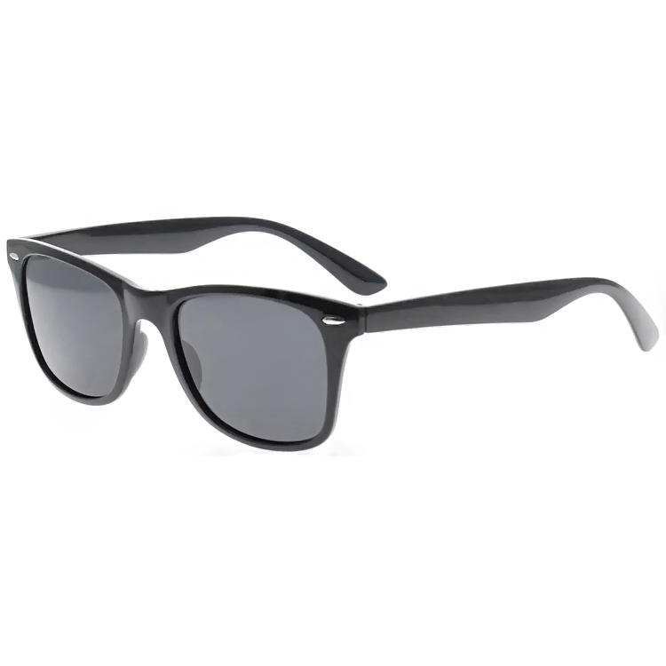 Dachuan Optical DSP102014 China Manufacture Unisex Wayfarer Design PC Sunglasses with Metal Hinge (5)