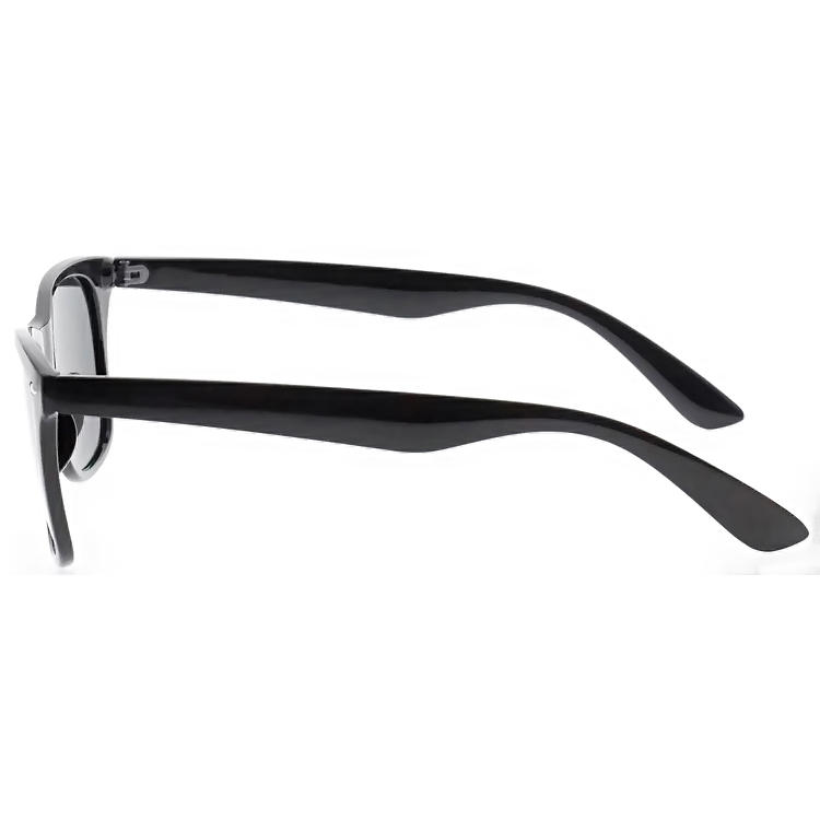 Dachuan Optical DSP102014 China Manufacture Unisex Wayfarer Design PC Sunglasses with Metal Hinge (6)