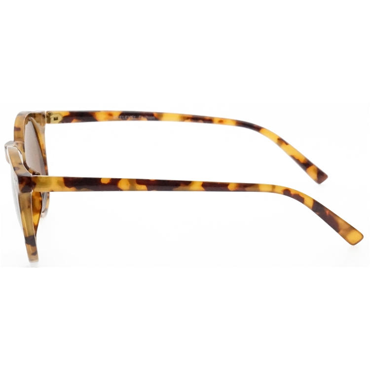 Dachuan Optical DSP127074 China Supplier Hot Fashion Reading Glasses With Tortoise Color (6)