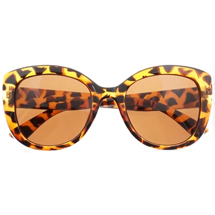 Dachuan Optical DSP127075 China Supplier Oversized Frame PC Sunglasses With Tortoise Color (1)
