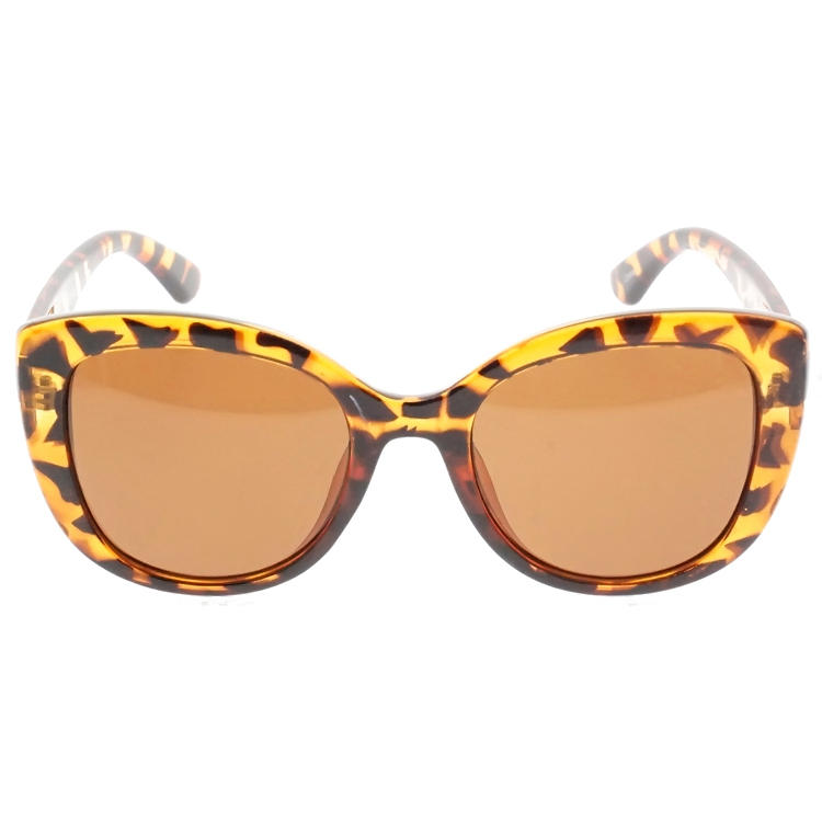 Dachuan Optical DSP127075 China Supplier Oversized Frame PC Sunglasses With Tortoise Color (4)