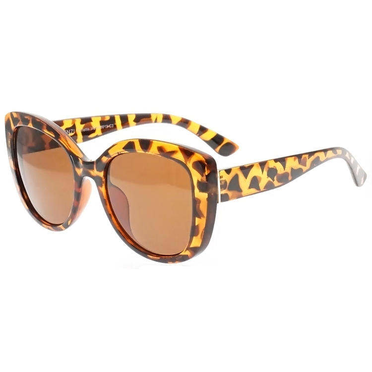 Dachuan Optical DSP127075 China Supplier Oversized Frame PC Sunglasses With Tortoise Color (5)