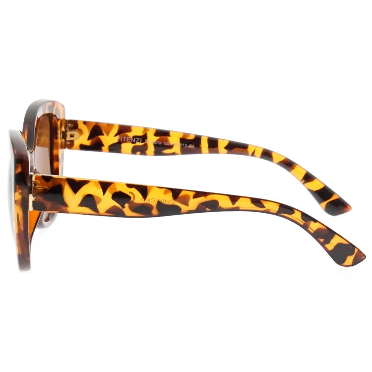 Dachuan Optical DSP127075 China Supplier Oversized Frame PC Sunglasses With Tortoise Color (6)