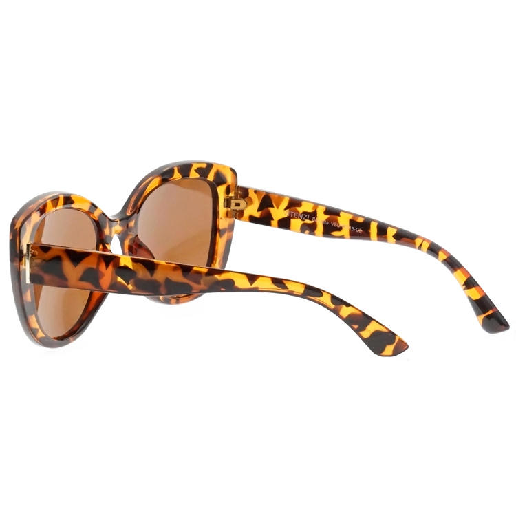 Dachuan Optical DSP127075 China Supplier Oversized Frame PC Sunglasses With Tortoise Color (7)