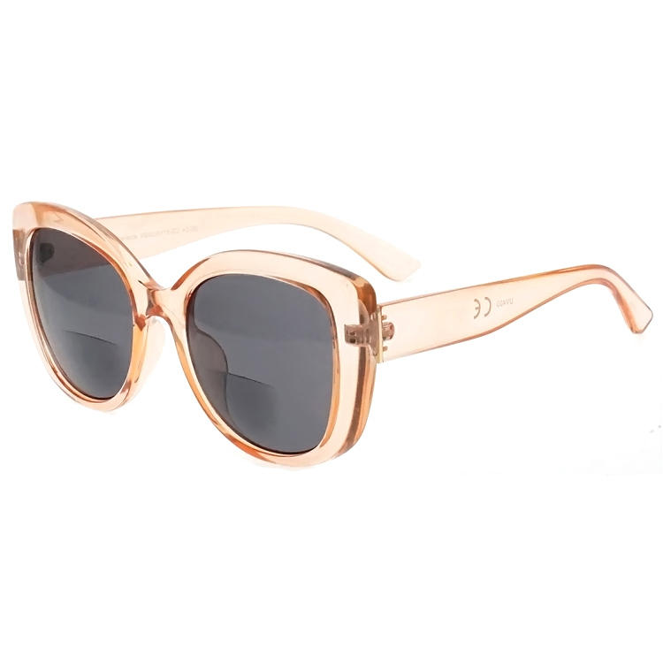Dachuan Optical DSP127075 China Supplier Oversized Frame PC Sunglasses With Tortoise Color (8)