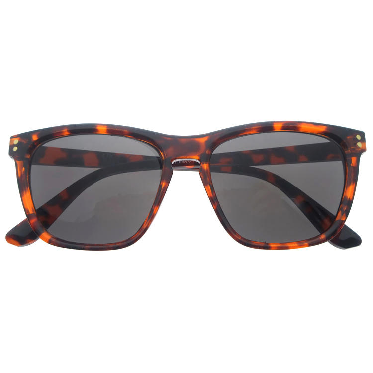 Dachuan Optical DSP251153 China Supplier Retro Style Plastic Sunglasses With Pattern Frame (10)