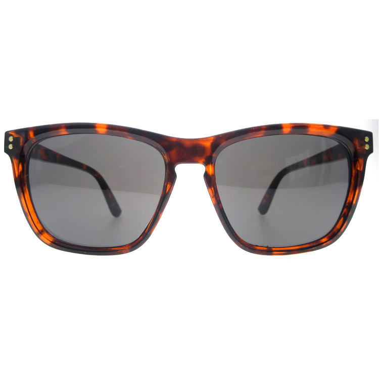 Dachuan Optical DSP251153 China Supplier Retro Style Plastic Sunglasses With Pattern Frame (5)