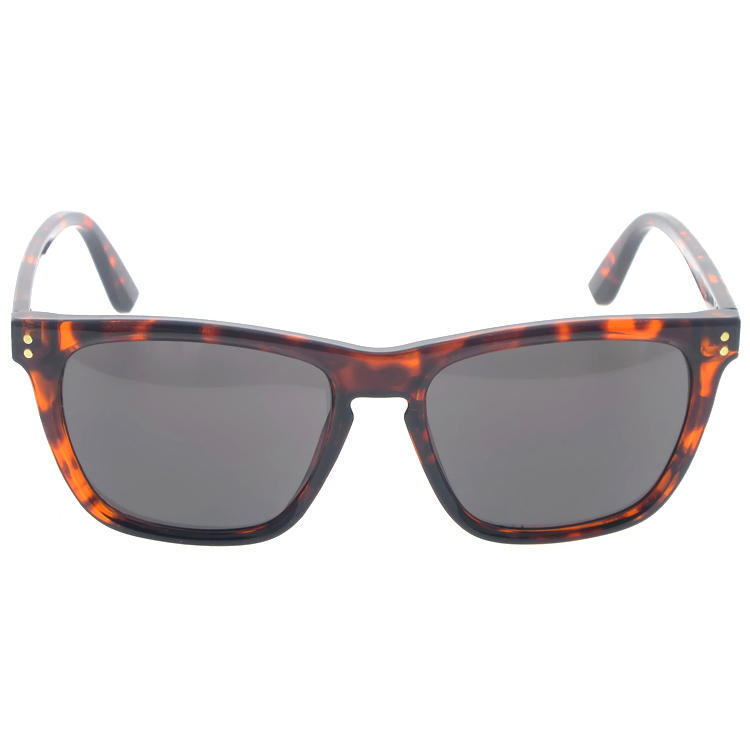 Dachuan Optical DSP251153 China Supplier Retro Style Plastic Sunglasses With Pattern Frame (6)