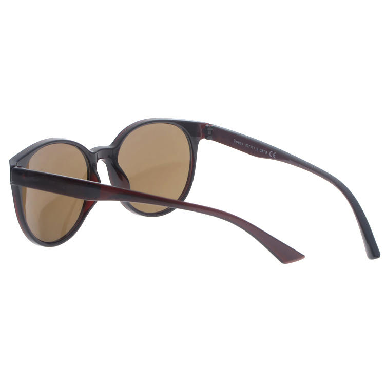 Dachuan Optical DSP343013 China Supplier Retro Round Shape Plastic Sunglasses for Women Men (9)