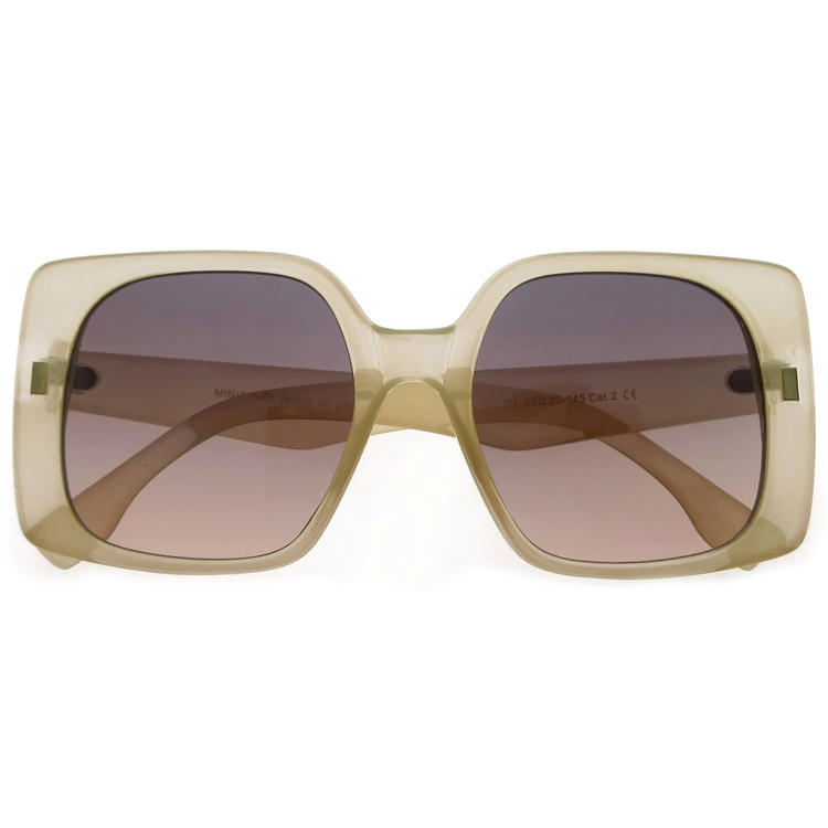 Dachuan Optical DSP345058 China Supplier Hot Trendy Plastic Shades Sunglasses with Oversized Shape (3)