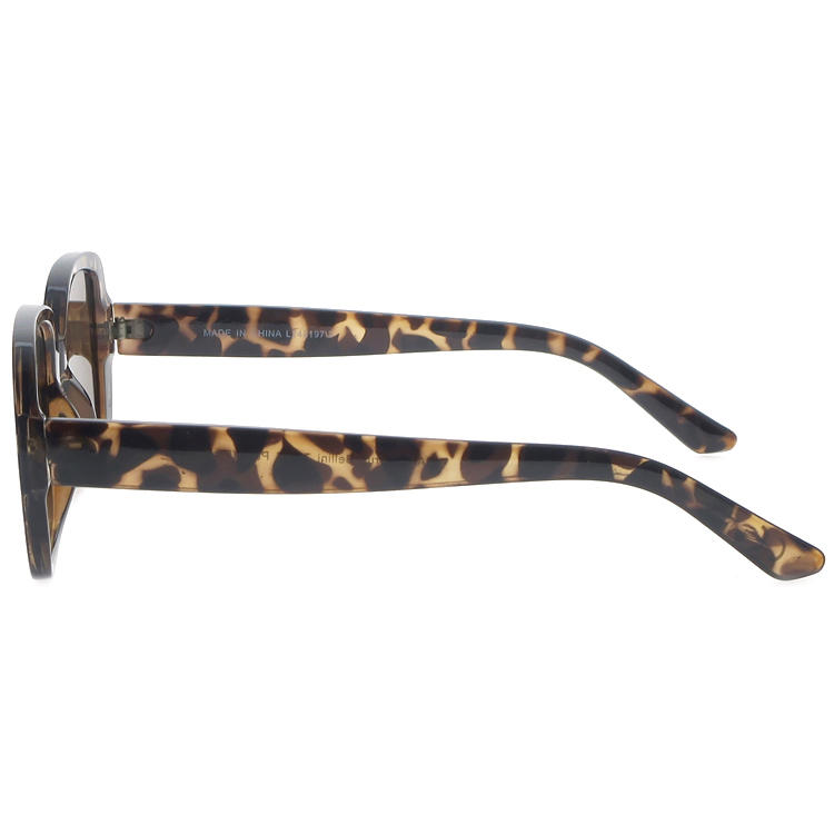 Dachuan Optical DSP345061 China Supplier Retro Designer Plastic Shades Sunglasses with Metal Hinge (8)