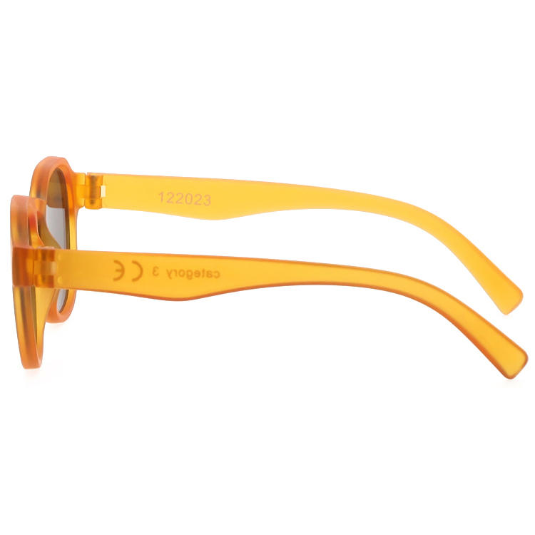 Dachuan Optical DSP345084 China Supplier Retro Design Plastic Sunglasses Shades with Screw Hinge (8)