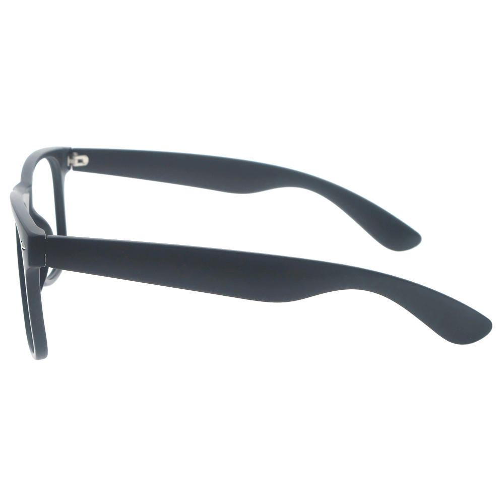 Dachuan Optical DSP348003 China Supplier Trendy Wayfarer Plastic Sunglasses With Metal Hinge (14)