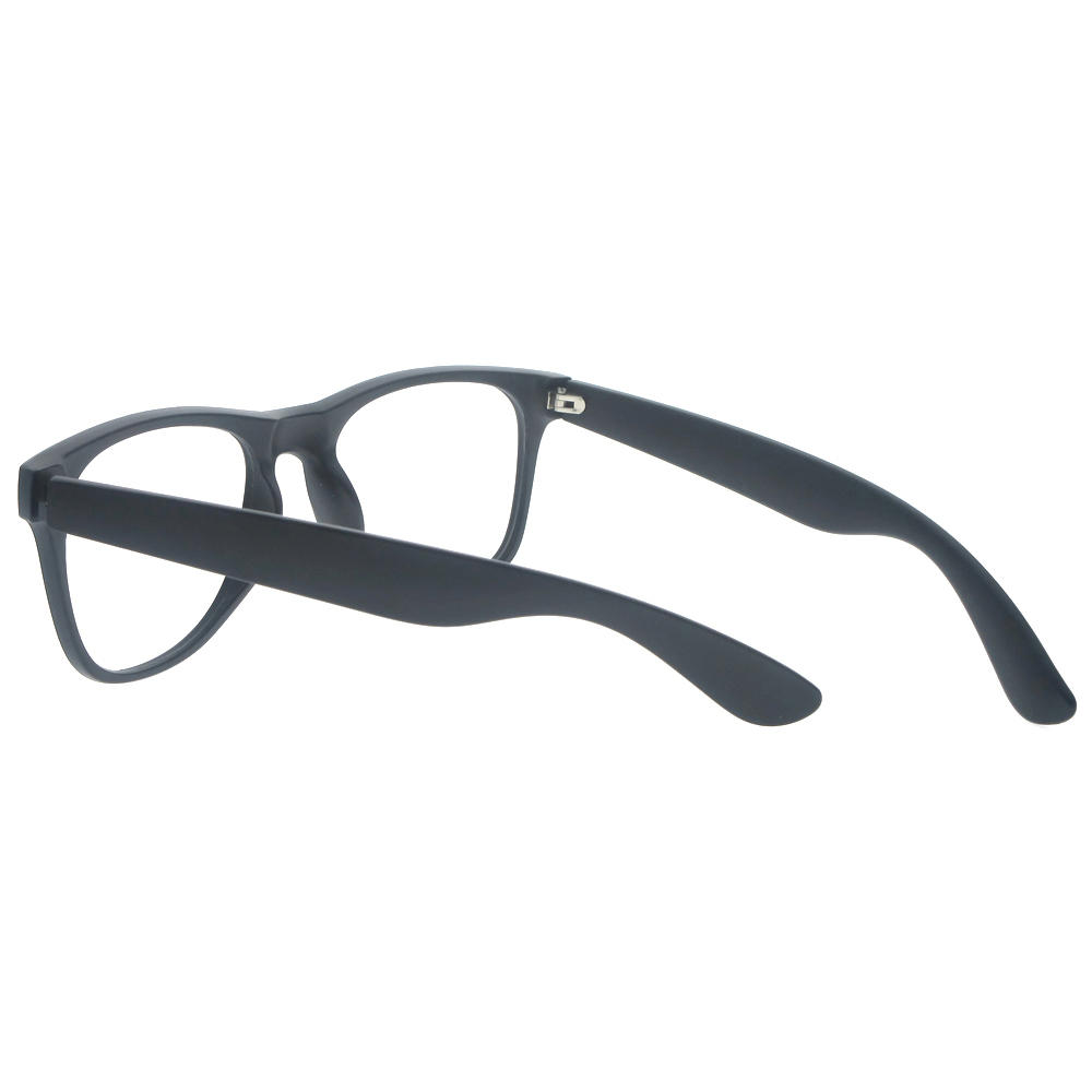 Dachuan Optical DSP348003 China Supplier Trendy Wayfarer Plastic Sunglasses With Metal Hinge (15)