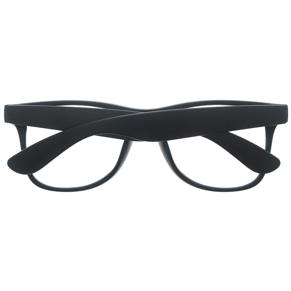 Dachuan Optical DSP348003 China Supplier Trendy Wayfarer Plastic Sunglasses With Metal Hinge (5)