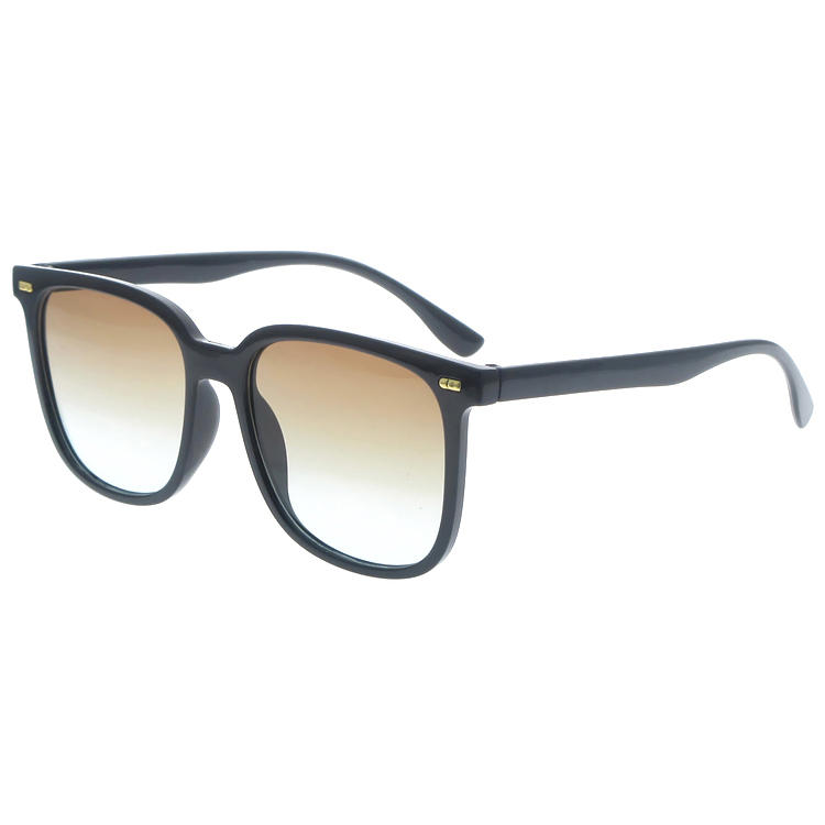 Dachuan Optical DSP377059 China Supplier Oversized Frame Plastic Su ( (18)