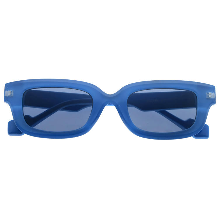 Dachuan Optical DSP404015 China Supplier New Arrive Plastic Sunglasses With Metal Hinge (3)