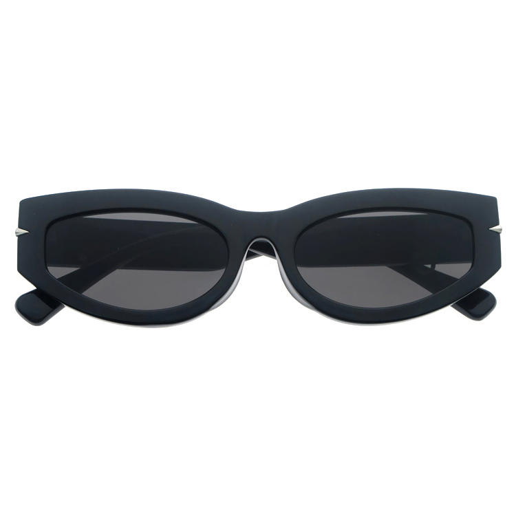 Dachuan Optical DSP404023 China Supplier Simple Design Plastic Sunglasses With Metal Hinge (4)