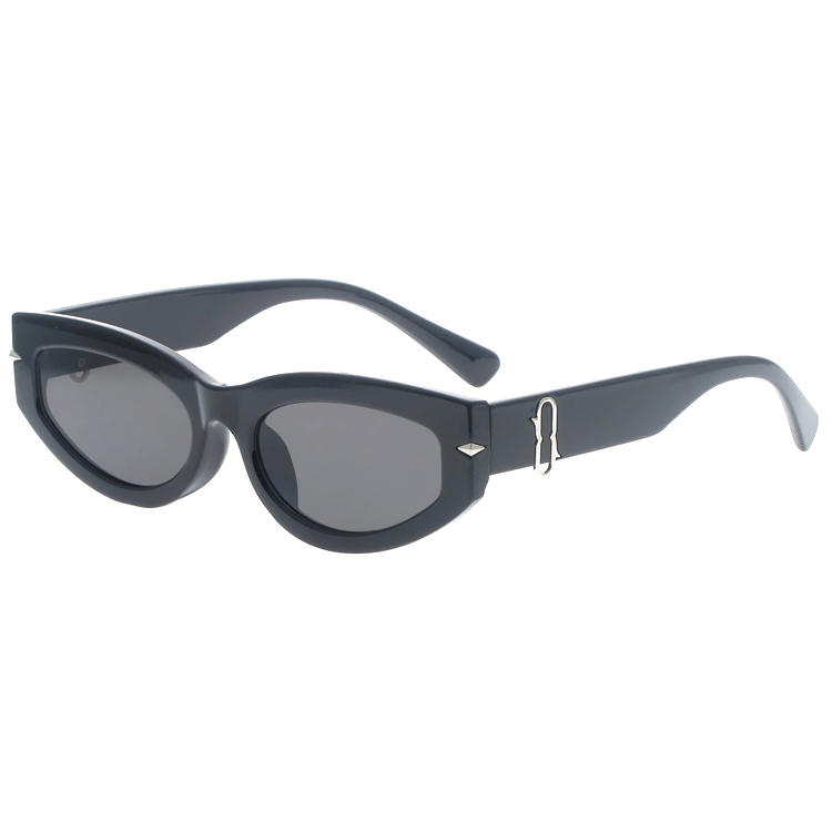 Dachuan Optical DSP404023 China Supplier Simple Design Plastic Sunglasses With Metal Hinge (8)
