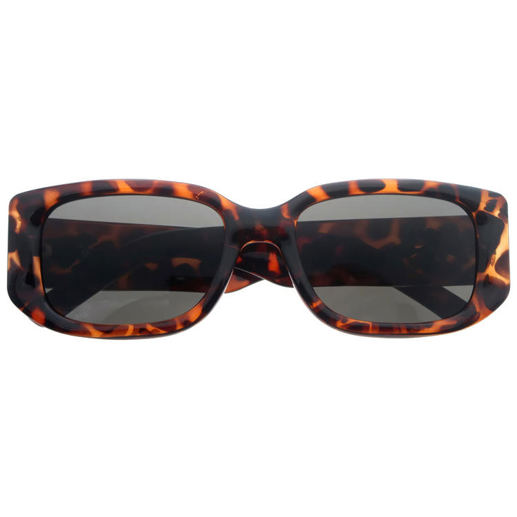 Dachuan Optical DSP404027 China Supplier Modern Design Plastic Sunglasses With Pattern Frame (4)