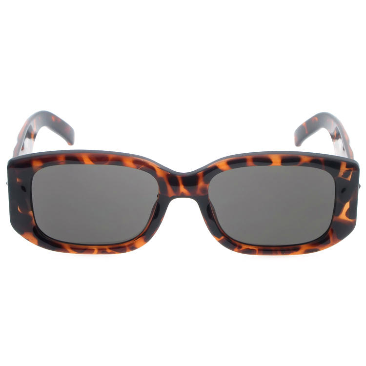 Dachuan Optical DSP404027 China Supplier Modern Design Plastic Sunglasses With Pattern Frame (7)