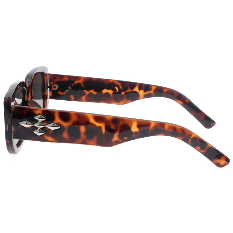 Dachuan Optical DSP404027 China Supplier Modern Design Plastic Sunglasses With Pattern Frame (9)