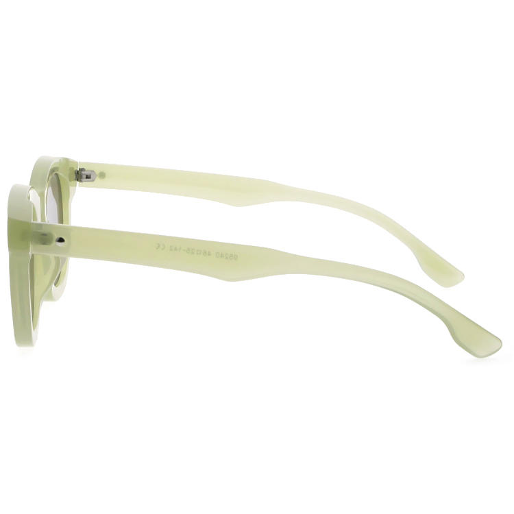 Dachuan Optical DSP404040 China Supplier Simple Design Plastic Sunglasses With Logo Print (9)