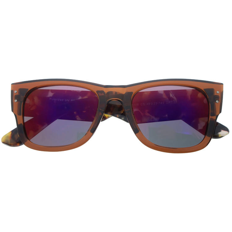Dachuan Optical DSP404045 China Supplier Fashion Design Plastic Sunglasses With Pattern Frame (4)
