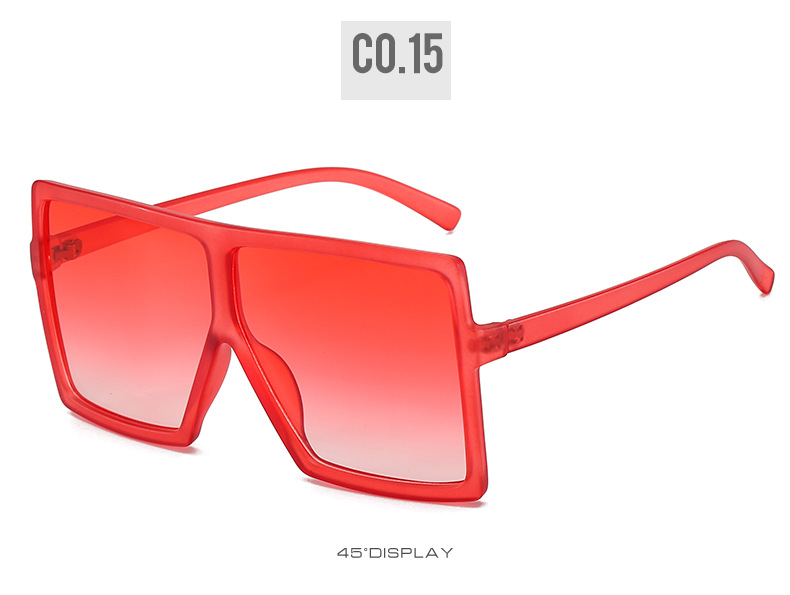 Dachuan Optical DXYH17059 Oversized Fashion Sunglasses (15)