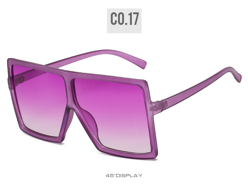 Dachuan Optical DXYH17059 Oversized Fashion Sunglasses (17)