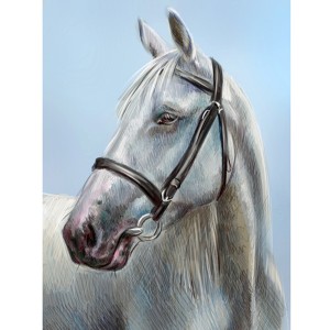 Portrete me kalë të bardhë, pikturë me vaj në pëlhurë